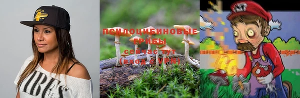 круглые Алексеевка