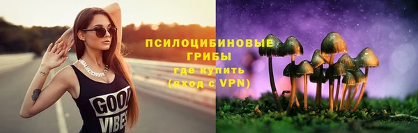 марки lsd Горнозаводск