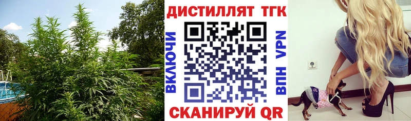 Дистиллят ТГК вейп с тгк  Краснодар 