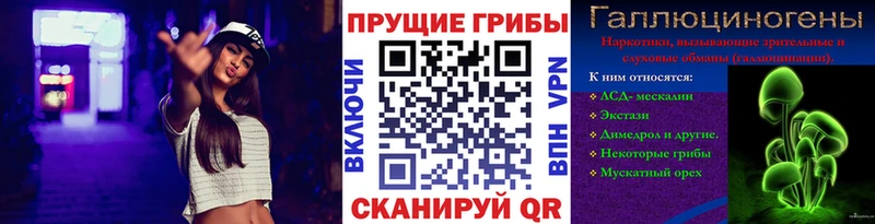 Псилоцибиновые грибы мухоморы  купить наркоту  Краснодар 